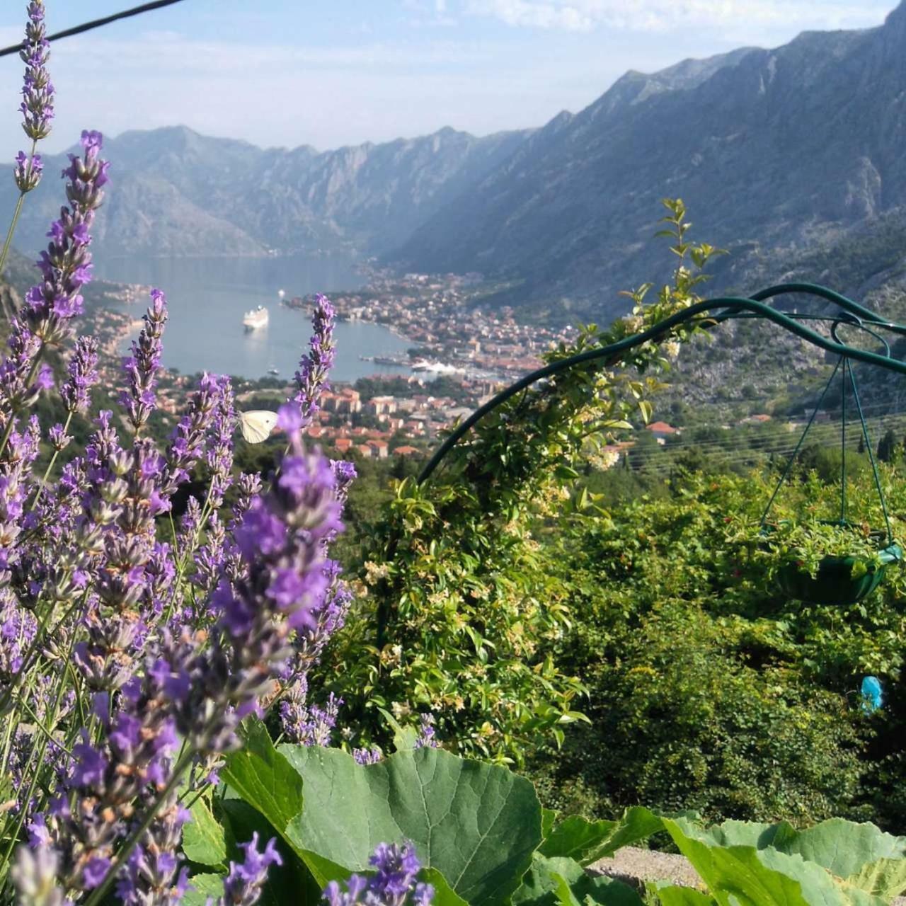Big Hill Apartment Kotor Extérieur photo